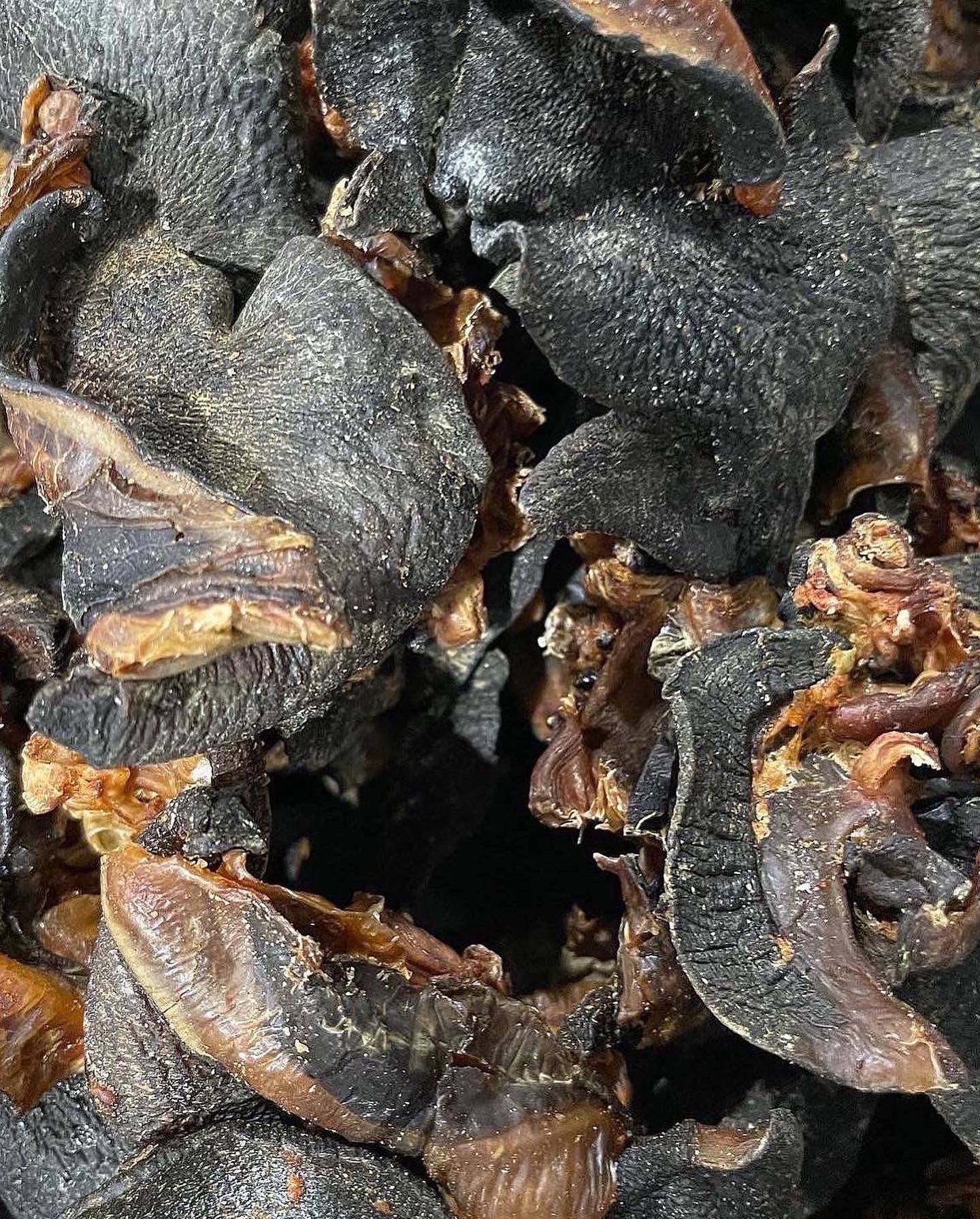 Dried snail