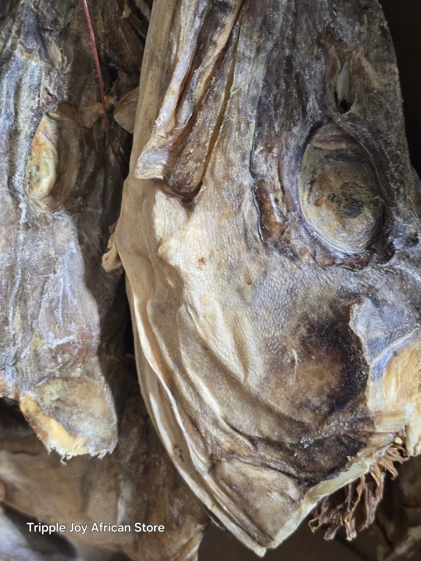 Stockfish head 12oz