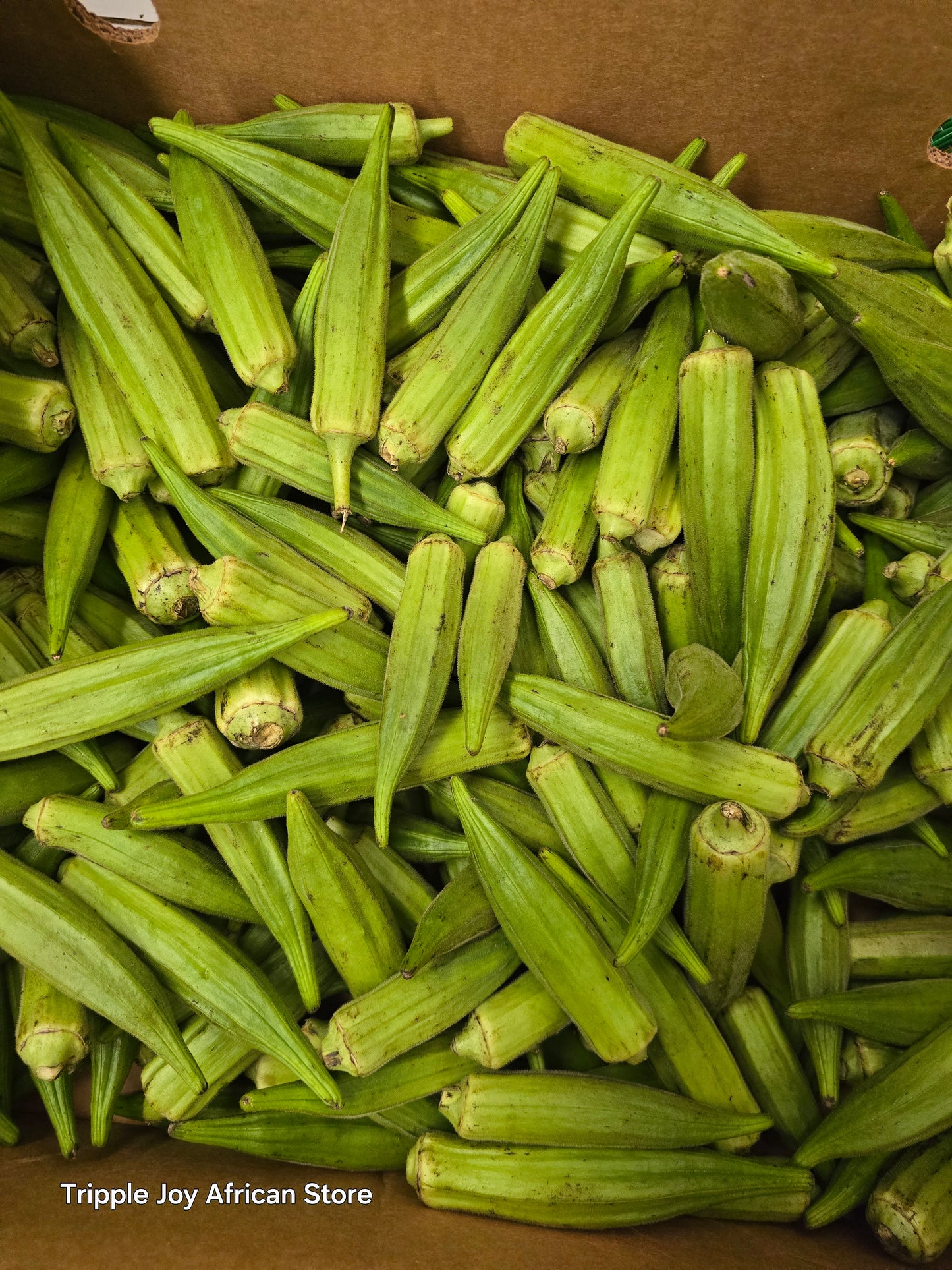 Fresh okra