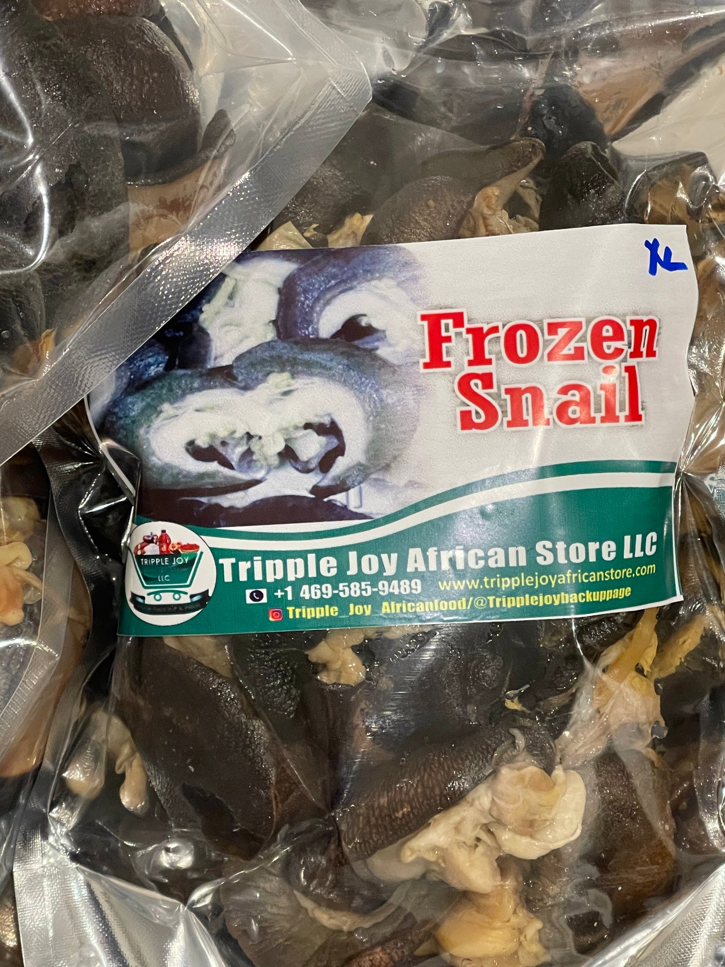 Frozen Snail
