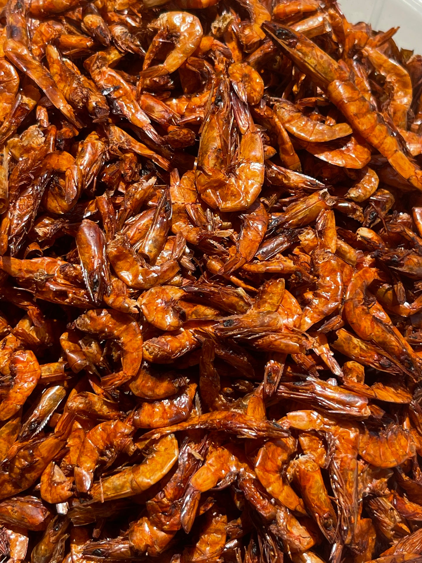 Medium size Shrimps