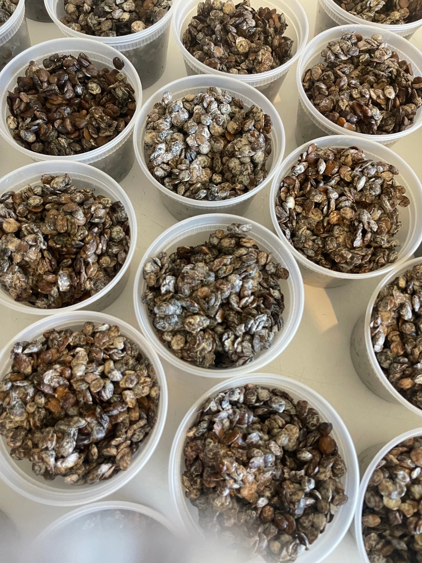 Stone free fresh locust beans ( iru woro)