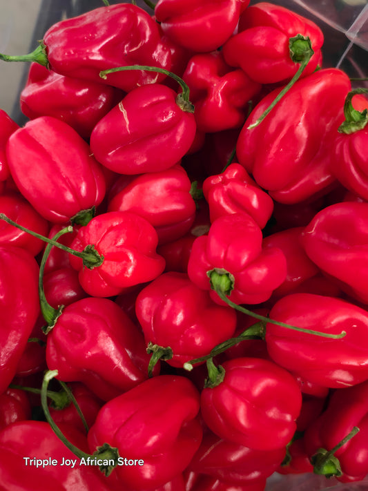 Habanero Red pepper