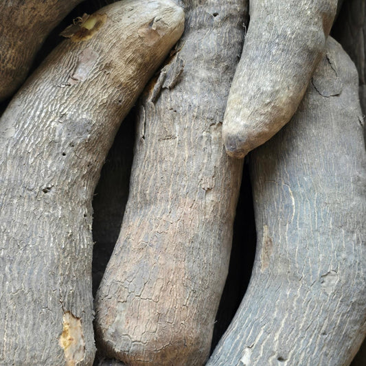Old  Ghana Yam