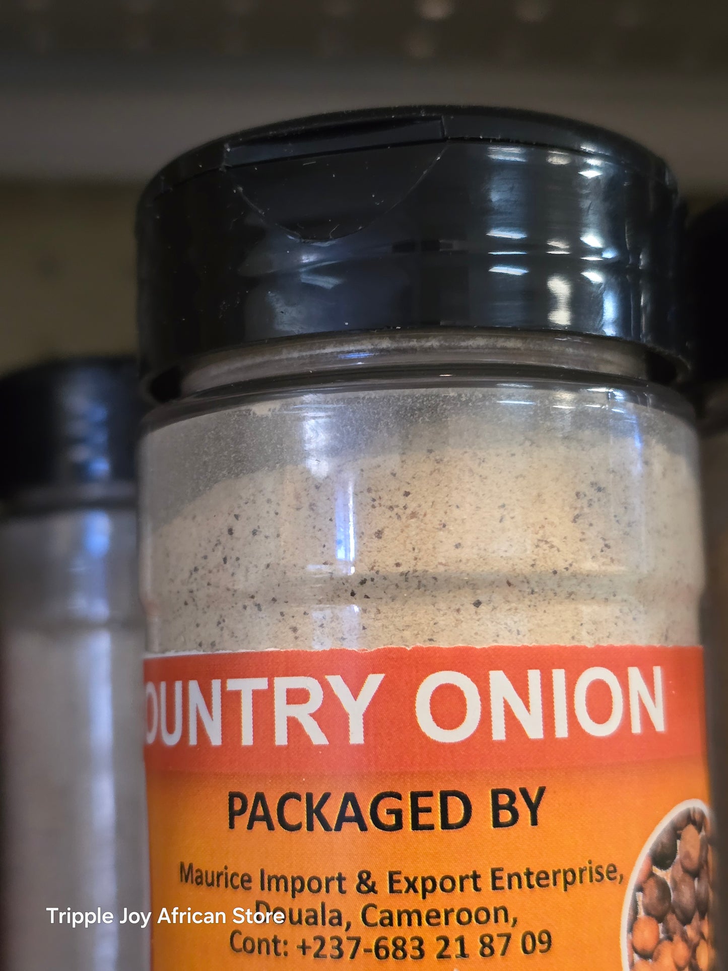 Country onion grounded