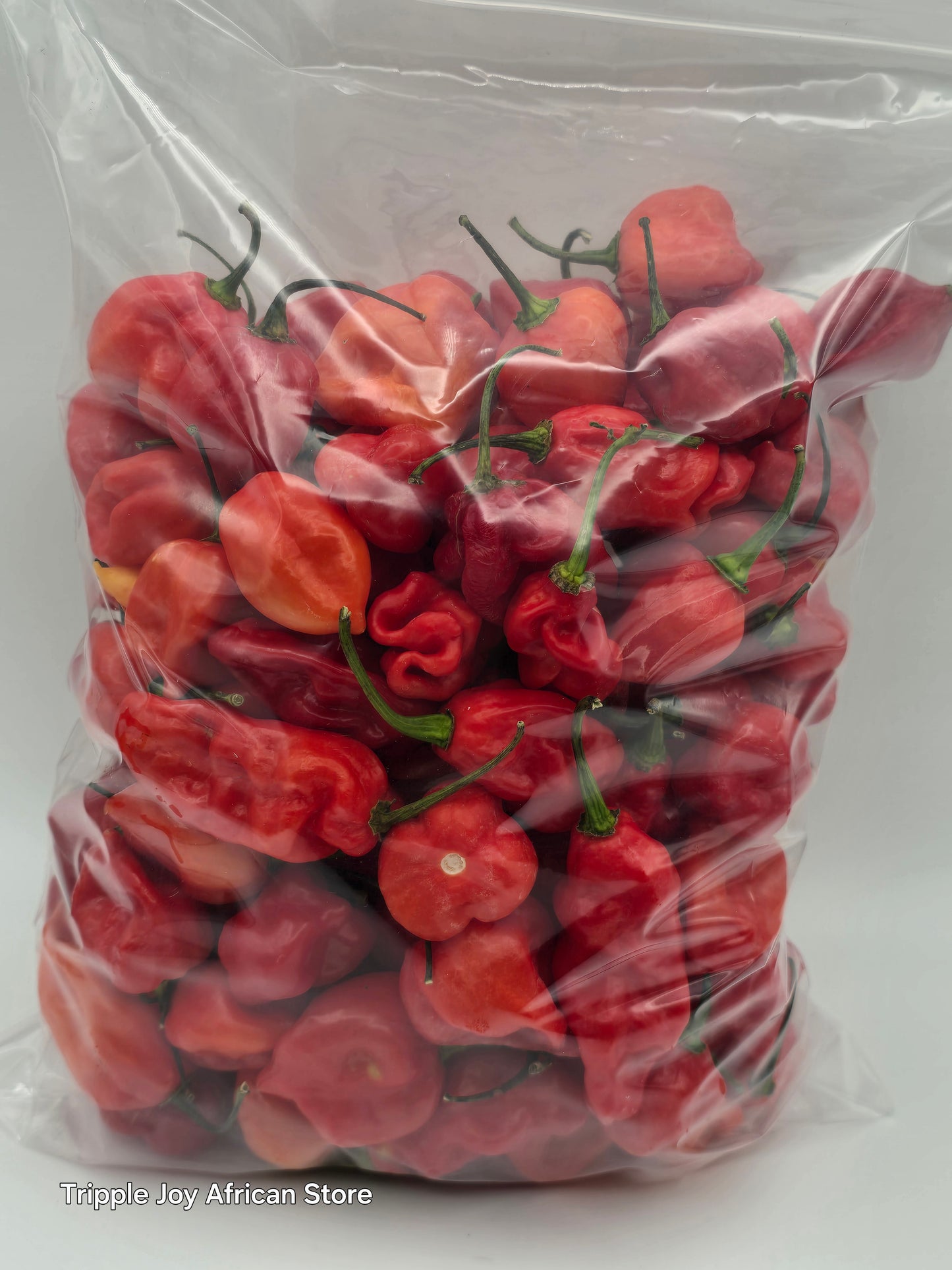 Organic Red scotch bonnet pepper
