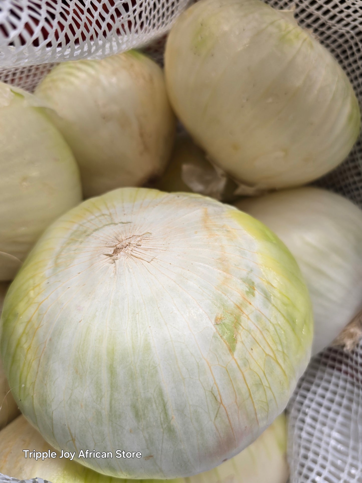 Onion