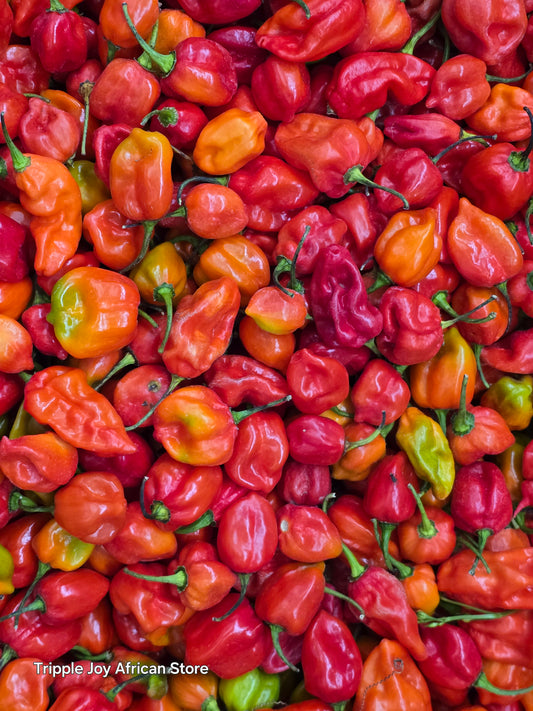 Organic Red scotch bonnet pepper