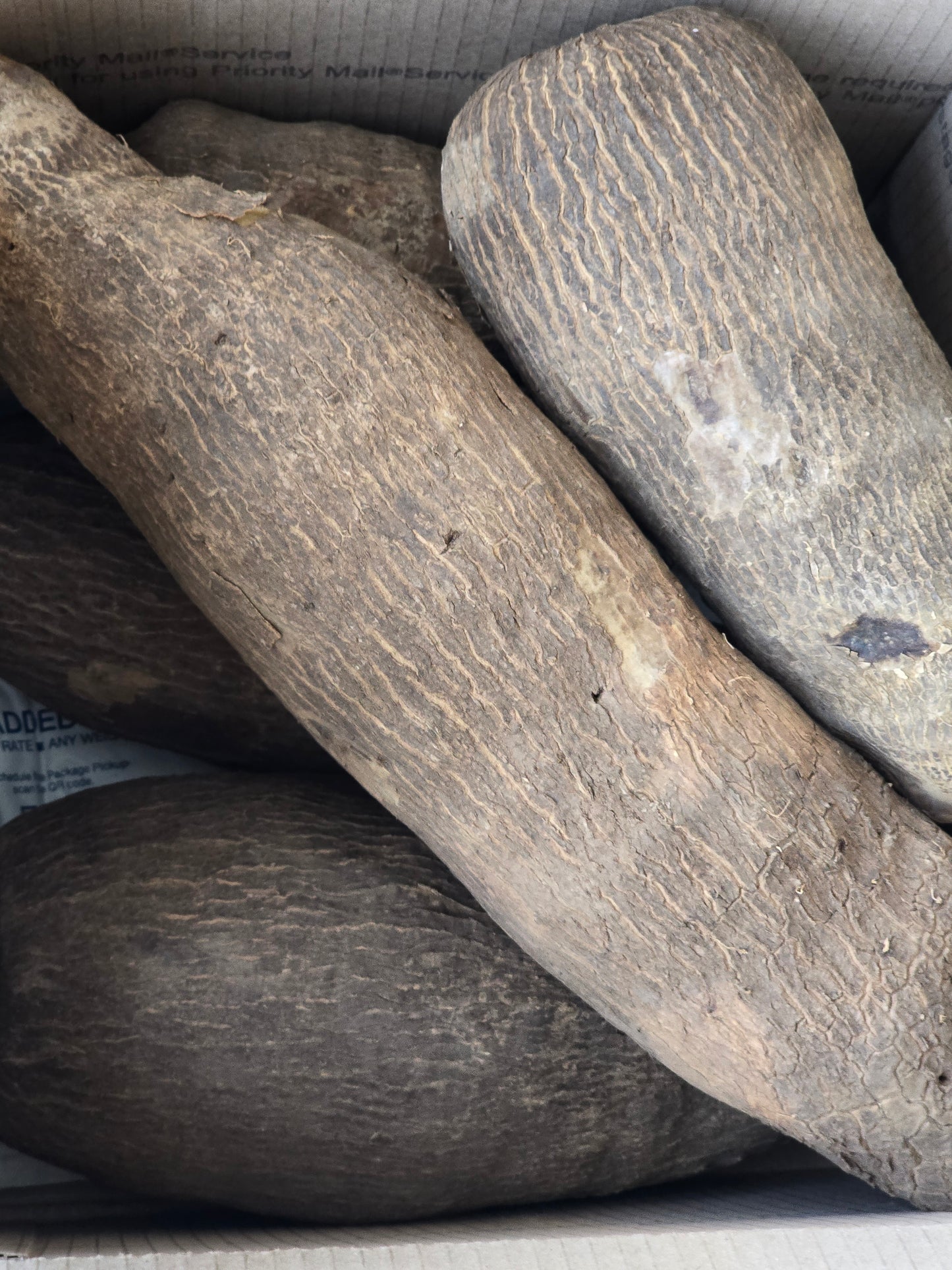 Old  Ghana Yam