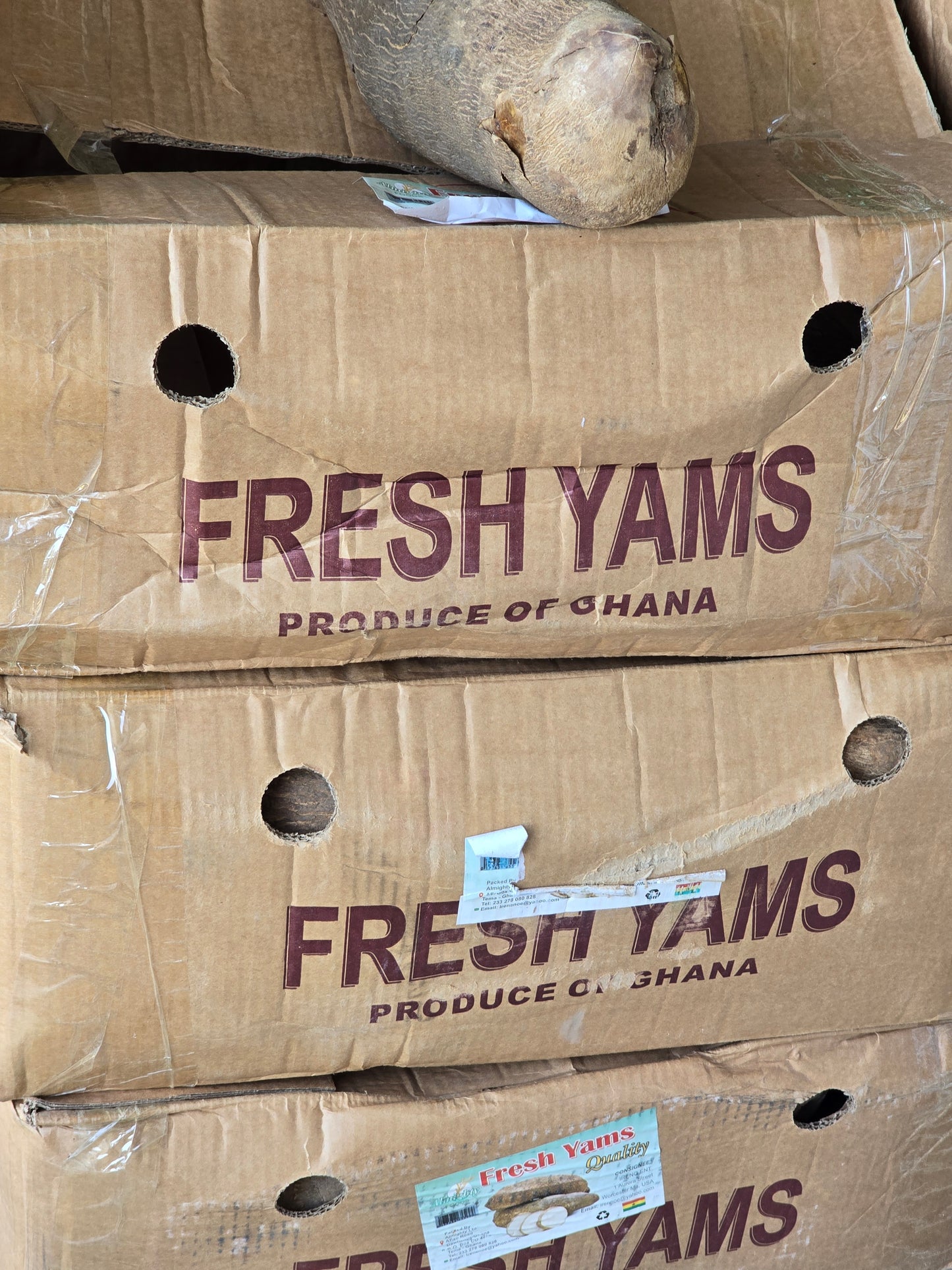 Old  Ghana Yam